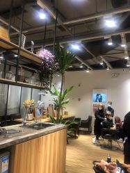 -Mentor Hair Salon