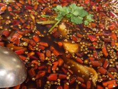 -味之绝热血美蛙鱼火锅(中坝店)