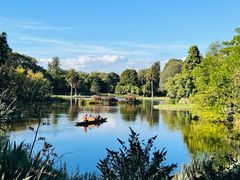 -墨尔本皇家植物园