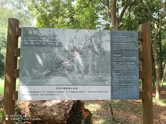 -南宁良凤江国家森林公园