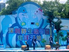 -深圳野生动物园