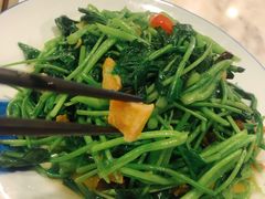 炒芥蓝-肉神潮汕卤鹅