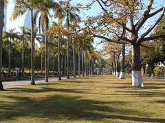 -厦门大学(思明校区)