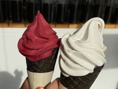 -喜茶(武汉范湖万达广场店)
