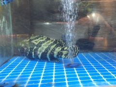 -ONE FULL 古董港式海鲜火锅