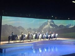 -cavalia·舞马