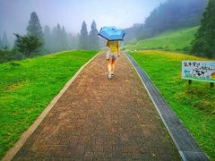 -神户市立六甲山牧场