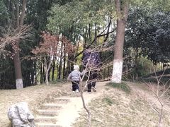 -水绘园