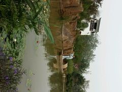 -武清南湖绿博园