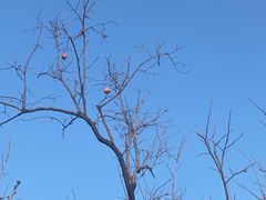 -奥士凯物美(新兴里店)