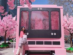 -金茂览秀城