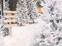 -HERRE·FARM 赫尔露营农场·团建聚会包场