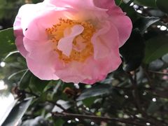 -绿雅居原生态农庄(小涌店)