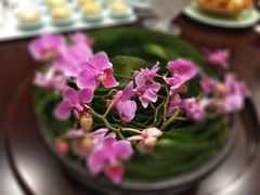 -庄隐阁(悠方广场店)