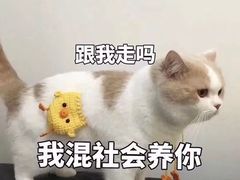 -NLFS1983咖啡花园餐厅(锦桂店)