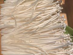 -盡膳口福跷脚牛肉火锅(北美新天地店)