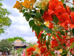 -宝墨园景区