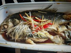 -春和發特色蒸饺(浐河西路店)