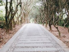 -高榜山景区