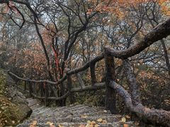 -秦岭终南山世界地质公园翠华山景区