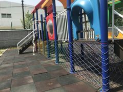 -金雁飞鸣双语幼儿园