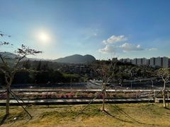 -白石龙音乐公园