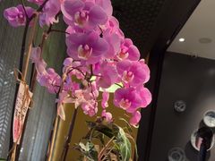-炳胜品味(深圳万象城店（罗湖）)