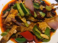 -酒肉行·虎子盐筋烤肉(大寨路店)