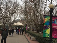 -富华游乐园
