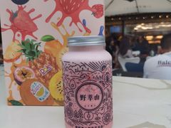 -野萃山·潮汕厚果汁(十亩地店)