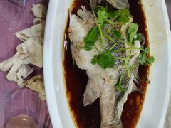 清蒸鲈鱼-同发号饭庄(复兴路店)