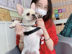-瑞鹏宠物医院·骨科·猫科·内科(第一中心)