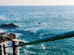 -广东惠东海龟国家级自然保护区