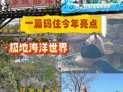 -石家庄极地海洋世界