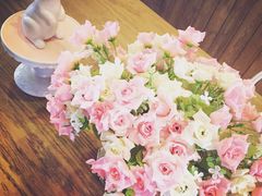 iphone_upload_pic-白兔糖咖啡