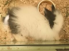 -龙猫仔乐园(惠福东路店)