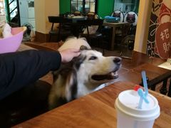 -李小姐の猫咖啡馆(五角场店)