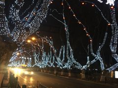 -也枫·小黄楼(南山路旗舰店)