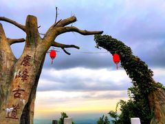 -长沙黑麋峰国家森林公园