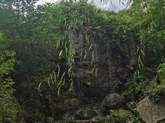 -幽岚山·童话森林