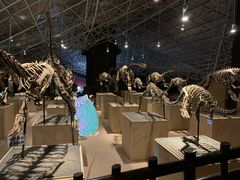 -世界恐龙谷景区