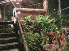-绿光森林餐厅