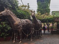 -长鹿旅游休博园