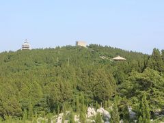 -原山国家森林公园