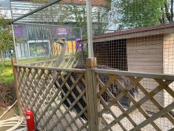 -萌宠亲子动物乐园(槐房万达店)