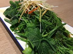 白灼丝瓜尖-日进一片海.生腌海鲜火锅.宵夜烧烤(三里屯总店)