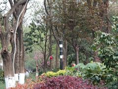 -绵阳人民公园(涪城区)