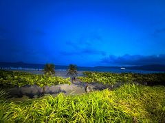 -渔家火锅·海鲜自助餐·演艺(亚龙湾天域酒店)
