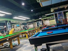 -丁俊晖台球俱乐部(长寿路店)