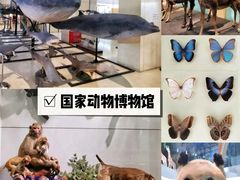 -中国国家博物馆